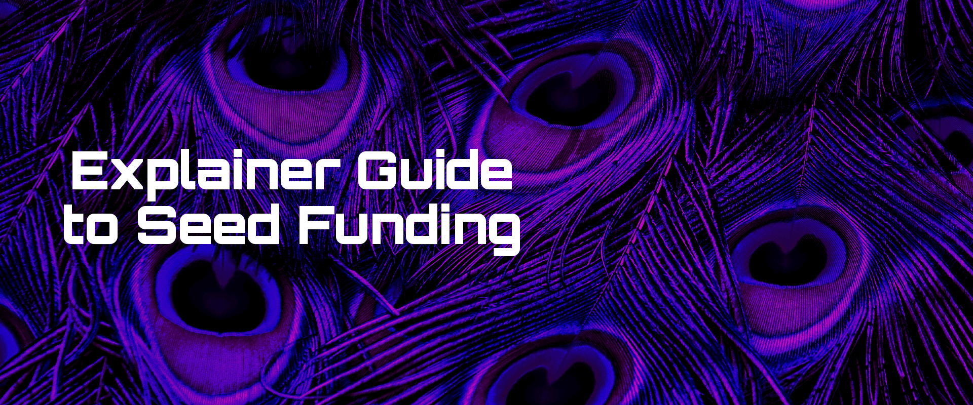 Read more about the article Explainer Guide to Seed Funding