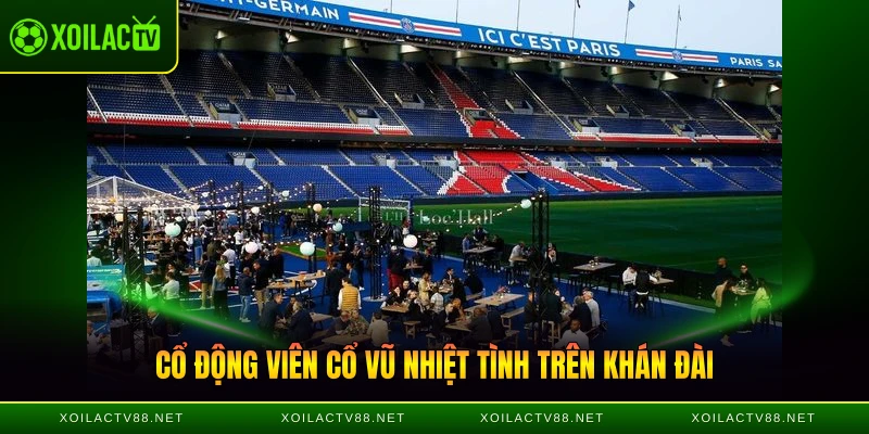 Cổ động viên cổ vũ nhiệt tình trên khán đài công viên các hoàng tử